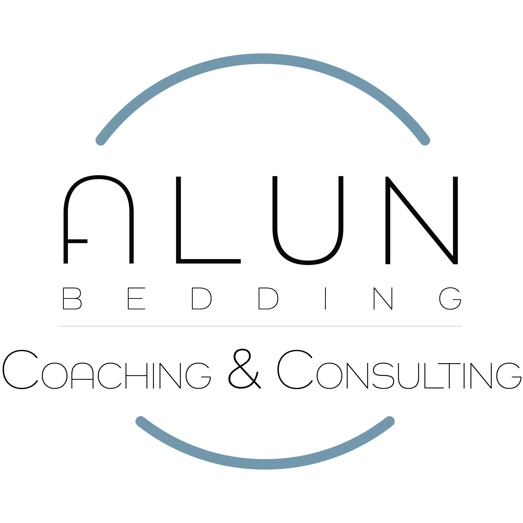 ALUN BEDDING C&C - LARGE - BLUE - 2000px